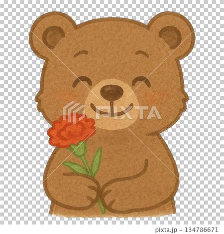 【母の日】カーネーションを持った子グマのイラスト 134786671