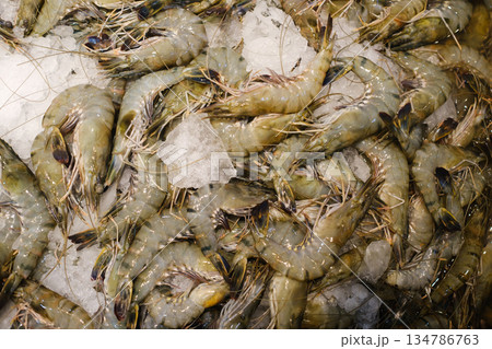 Fresh shrimps displayed on ice at a seafood market during early morning hours, showcasing their vibrant colors and textures ready for purchase or cooking Fresh shrimps displayed on ice at a seafood market during early morning hours, showcasing their vibrant colors and textures ready for purchase or cooking 134786763