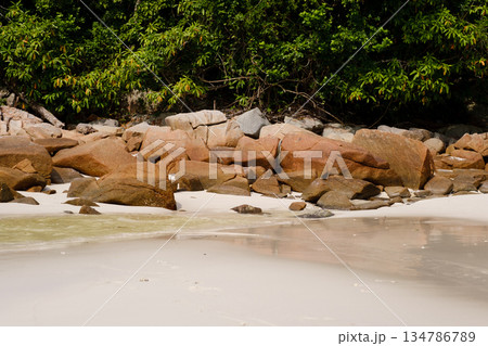 Beautiful sandy beach with smooth waves and rocky shoreline surrounded by lush greenery in a tropical setting during bright daylight. Malaysia Beautiful sandy beach with smooth waves and rocky shoreline surrounded by lush greenery in a tropical setting during bright daylight. Malaysia 134786789