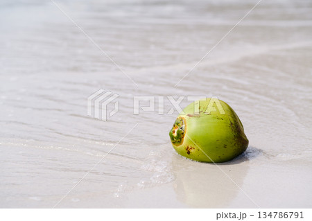 A fresh green coconut lies on a white sandy beach, and the waves gently splash against the shore under a clear sky on a sunny day. A fresh green coconut lies on a white sandy beach, and the waves gently splash against the shore under a clear sky on a sunny day. 134786791
