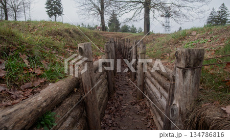 intimate log revetment inside narrow trench, earth walls and compacted mud floor, fallen leaves and moss 134786816