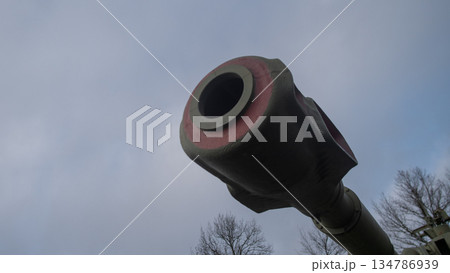 close cannon mouth framed against pale sky, dark inner ring hints at rifled bore, weathered collar with red 134786939