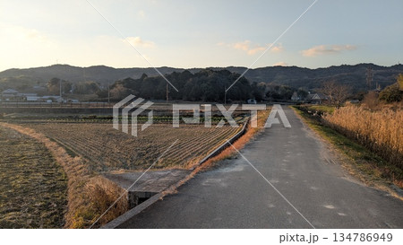 斑鳩町の風景 134786949