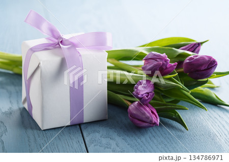 purple tulip with gift box on blue wood background 134786971