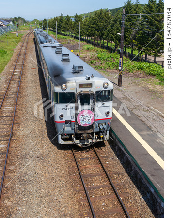 豊富駅にやってきた花たびそうや号 豊富駅にやってきた花たびそうや号 134787034
