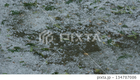 closeup of hailstones falling on the pavement during strong hailstorm 134787086
