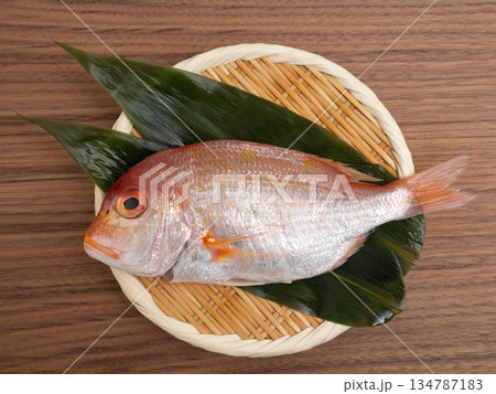 下拵えしたレンコダイ 134787183