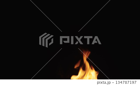 fire flames of campfire over black background, for overlay 134787197