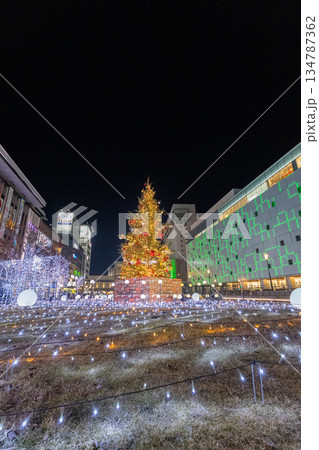 駅前のクリスマスイルミネーション 134787362