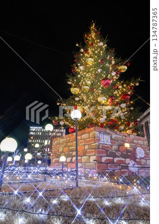 駅前のクリスマスイルミネーション 134787365