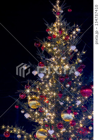 駅前のクリスマスイルミネーション 駅前のクリスマスイルミネーション 134787410