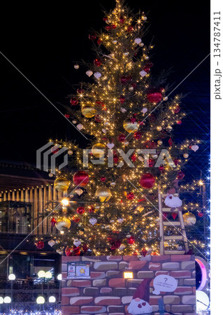 駅前のクリスマスイルミネーション 駅前のクリスマスイルミネーション 134787411