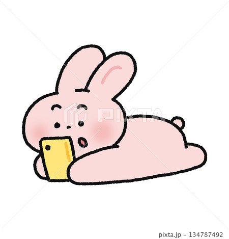 寝転がりながらスマホを見るウサギ 寝転がりながらスマホを見るウサギ 134787492