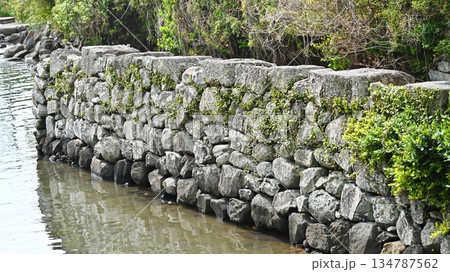 大村藩 お船蔵跡(長崎県大村市:玖島城の船蔵) 大村藩 お船蔵跡(長崎県大村市:玖島城の船蔵) 134787562