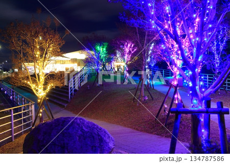 【兵庫県】淡路SAのイルミネーション 134787586