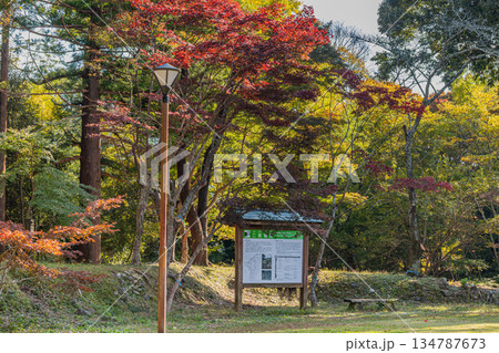 浜松市の二俣城跡の風景(静岡県) 134787673