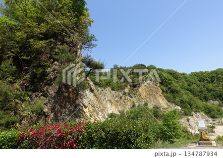 有田焼　泉山磁石場（日本磁器発祥の地）有田陶器市 134787934