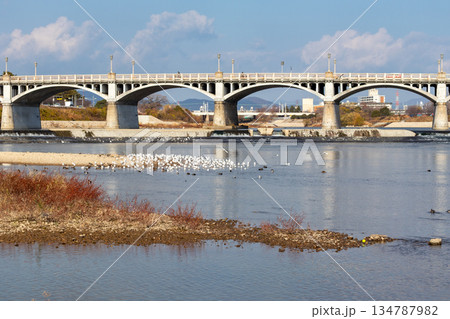 兵庫・武庫川と武庫大橋 兵庫・武庫川と武庫大橋 134787982