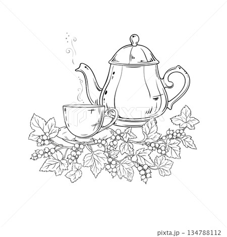 Black Currant Tea in Teapot Outline Illustration. 134788112