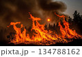 山火事が燃え広がる自然災害 134788162