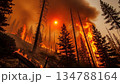 山火事が燃え広がる自然災害 134788164