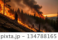 山火事が燃え広がる自然災害 134788165