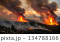 山火事が燃え広がる自然災害 134788166