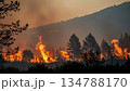 山火事が燃え広がる自然災害 134788170