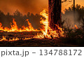 山火事が燃え広がる自然災害 134788172