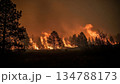 山火事が燃え広がる自然災害 134788173