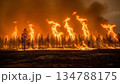 山火事が燃え広がる自然災害 134788175
