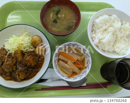 チキン煮込み チキン煮込み 134788268