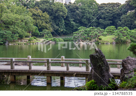 清澄庭園の池と石橋 岩と松が並ぶ庭の景観と水辺の風景 134788535