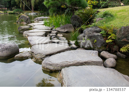 清澄庭園の飛び石と池の水辺 石と緑が続く庭の小径 134788537