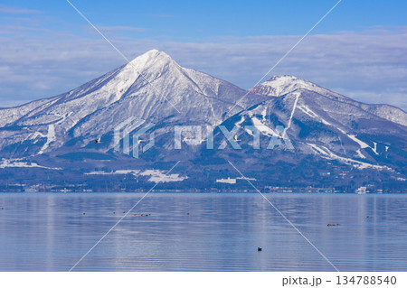 磐梯山を背景に飛ぶ白鳥 134788540