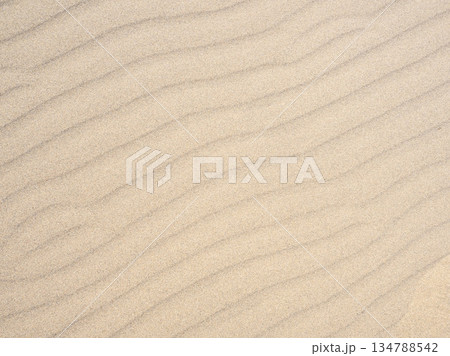 砂紋 134788542