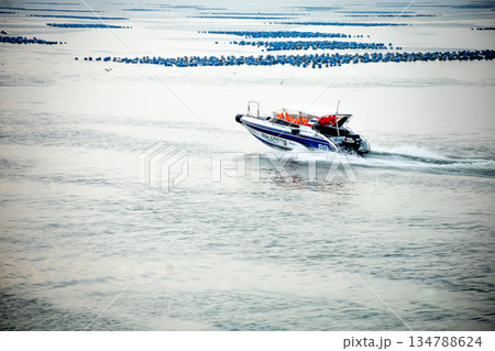 The speedboat ship park at the Koh Loi Sriracha port 134788624