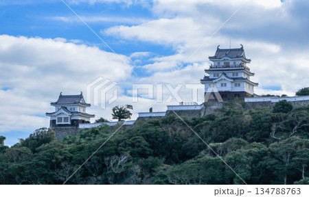 平戸港より平戸城を仰ぎ見る 134788763