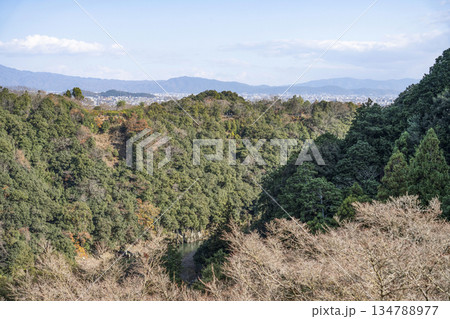 大悲閣（千光寺）客殿からの眺望（冬季） 134788977