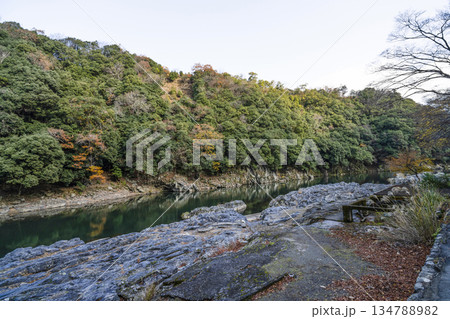 大悲閣（千光寺）参道入口前の保津川（冬季） 134788982
