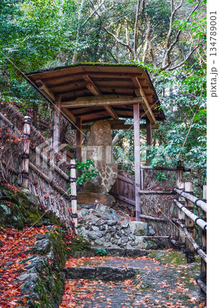 大悲閣（千光寺）参道 134789001