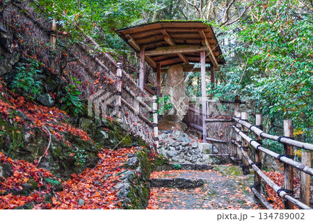 大悲閣（千光寺）参道 134789002