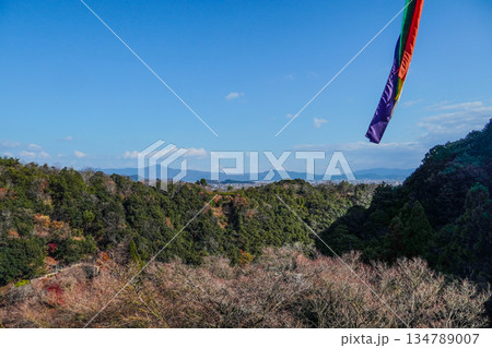 大悲閣（千光寺）客殿からの眺望（冬季） 134789007