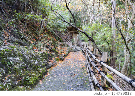 大悲閣（千光寺）参道 134789038