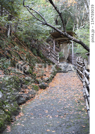 大悲閣（千光寺）参道 134789039