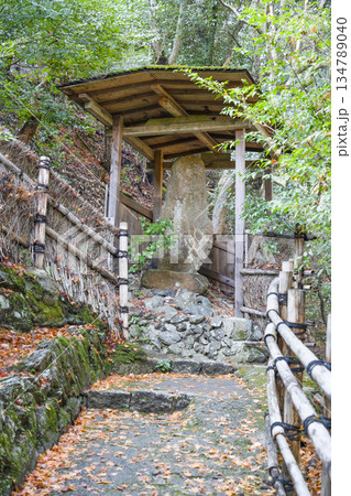 大悲閣(千光寺)参道 大悲閣(千光寺)参道 134789040