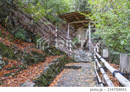大悲閣（千光寺）参道 134789041