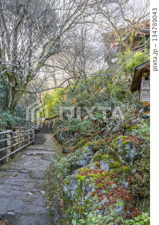 大悲閣(千光寺)参道 大悲閣(千光寺)参道 134789043