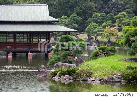 清澄庭園の涼亭と池 松が配された水辺に建つ庭園建築 134789065