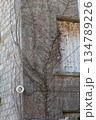 Rustic old building with dried tree. Vertical photography 134789226